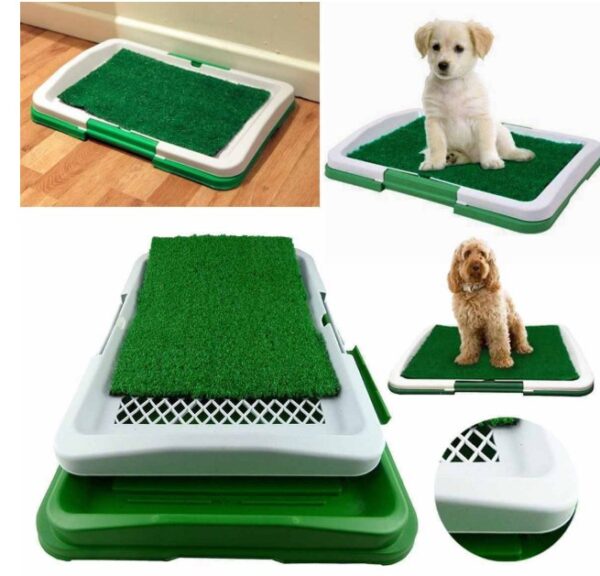 Köpek Tuvalet Eğitim Seti: Potty Trainer