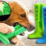 Köpek Diş Fırçası Isırma Aparatı Küçük Boy