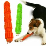 Köpek Diş Fırçası