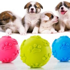 Köpek Isırma Topu Pati Desenli Küçük