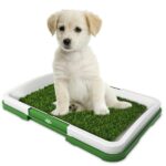 Köpek Tuvalet Eğitim Seti: Potty Trainer