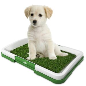 Köpek Tuvalet Eğitim Seti: Potty Trainer