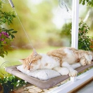 Sunny Seat Cama Yapışan Kedi Yatağı