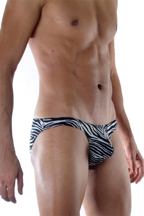 Desenli Erkek Slip