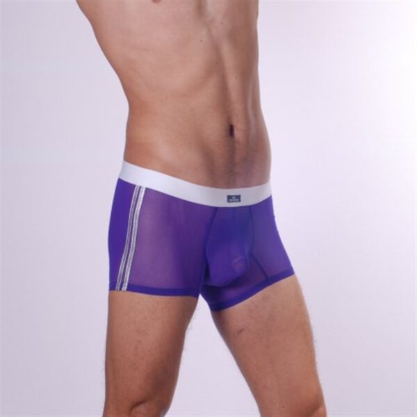 Don Moris DM140544 Erkek Boxer Çamaşır