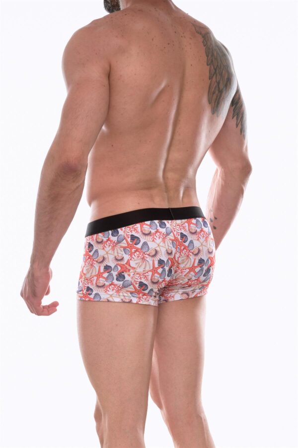 Don Moris Erkek Desenli Boxer