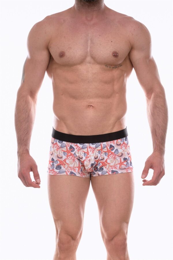 Don Moris Erkek Desenli Boxer