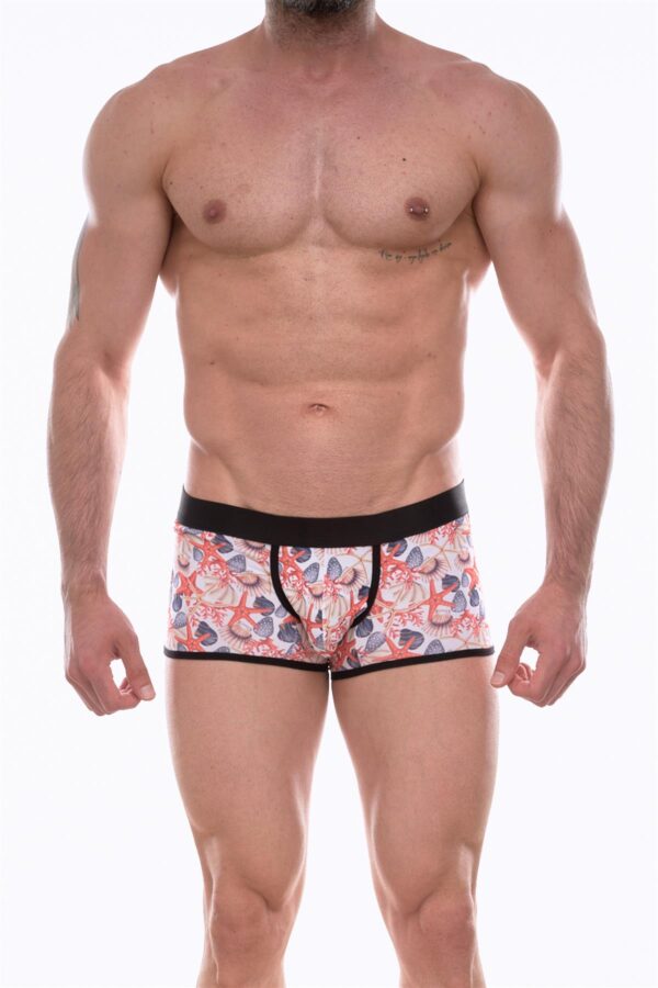 Don Moris Erkek Desenli Boxer