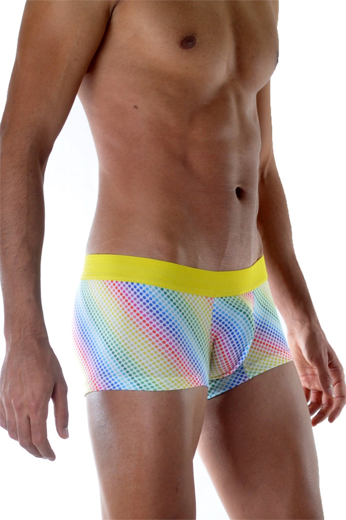 Renkli-Boxer-3
