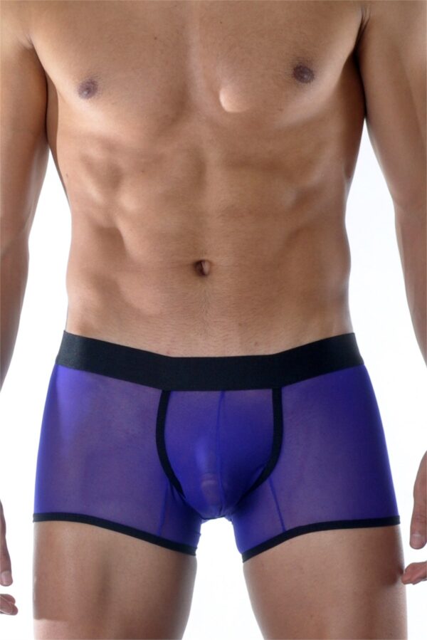 Transparan Erkek Boxer