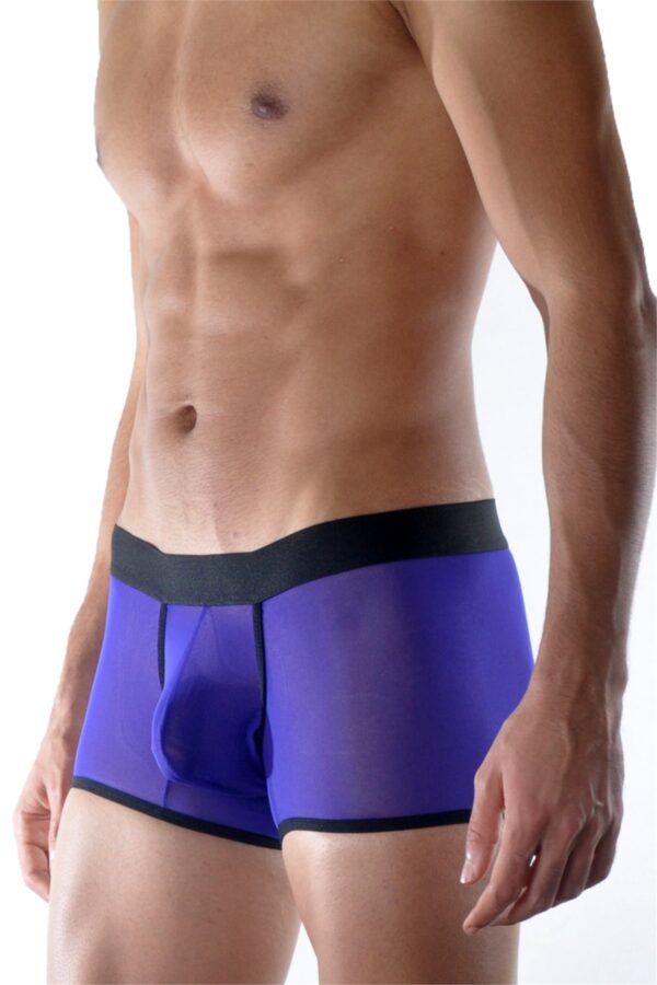 Transparan Erkek Boxer