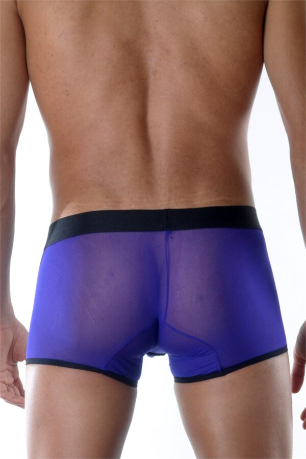 Transparan Erkek Boxer