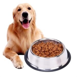 BUFFER® 22 cm  Her Alanda Kullanıma Uygun  Paslanmaz Çelik Metal Evcil Hayvan Mama Kabı
