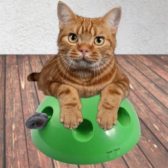 BUFFER® 360 Derece Dönebilen Değiştirilebilir İki Aparatlı Catch The Mouse Fare Yakalama Oyuncağı