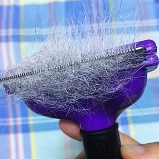 BUFFER® 4.5 Kilo Üzeri Kısa Tüylü Kediler için Tüy Toplama Tarağı