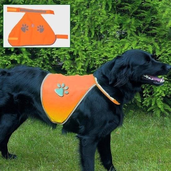 BUFFER® Gece Görüşlü Reflektör Kumaşlı Cırt Cırtlı Köpek Yeleği Large