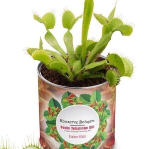 BUFFER® Konserve Bahçem Venüs Et Obur Bitki Yetiştirme Kiti