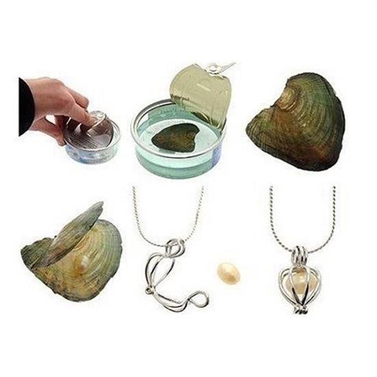 BUFFER® Love Pearl İstiridye İnci Kolye Küpe Yüzük Set