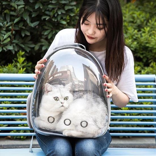 BUFFER® Şeffaf Astronot Kapsül Kedi Köpek Seyahat Yolculuk Fermuarlı Hava Alan Taşınabilir Sırt Çant