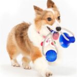 BUFFER® Vantuzlu Köpek Diş Temizleme ve Eğlence Oyuncağı
