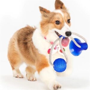 BUFFER® Vantuzlu Köpek Diş Temizleme ve Eğlence Oyuncağı