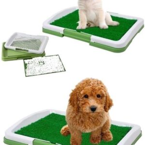 BUFFER® Yavru Köpek Lazımlık